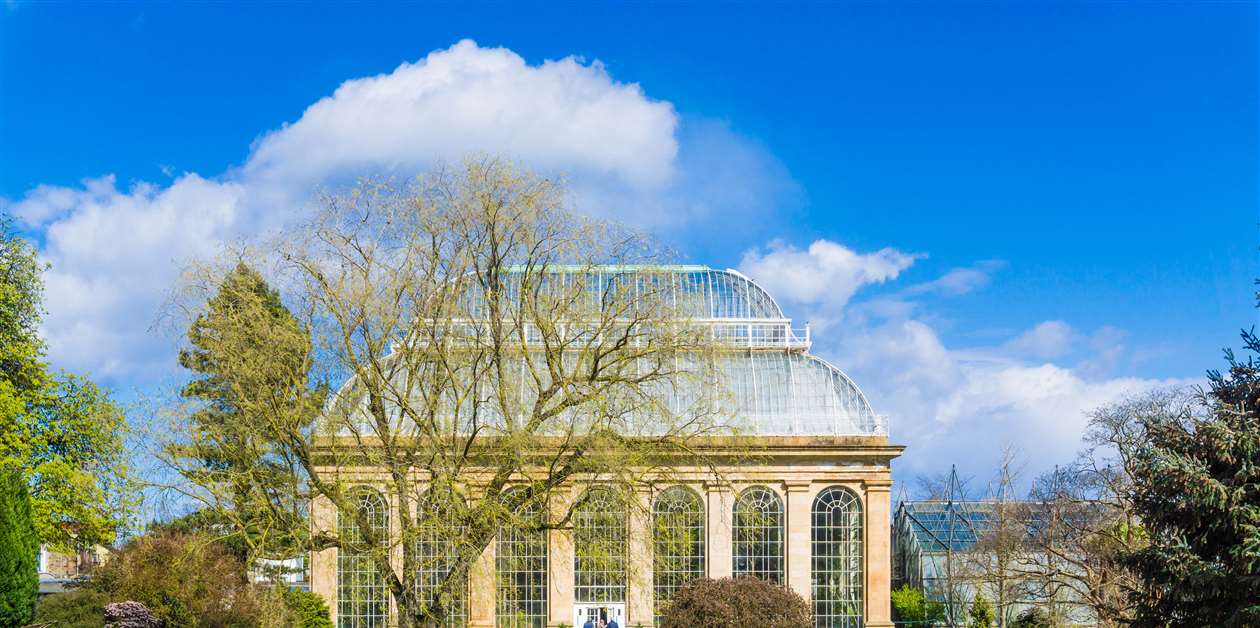 Balfour Beatty goes all electric on live site for the first time