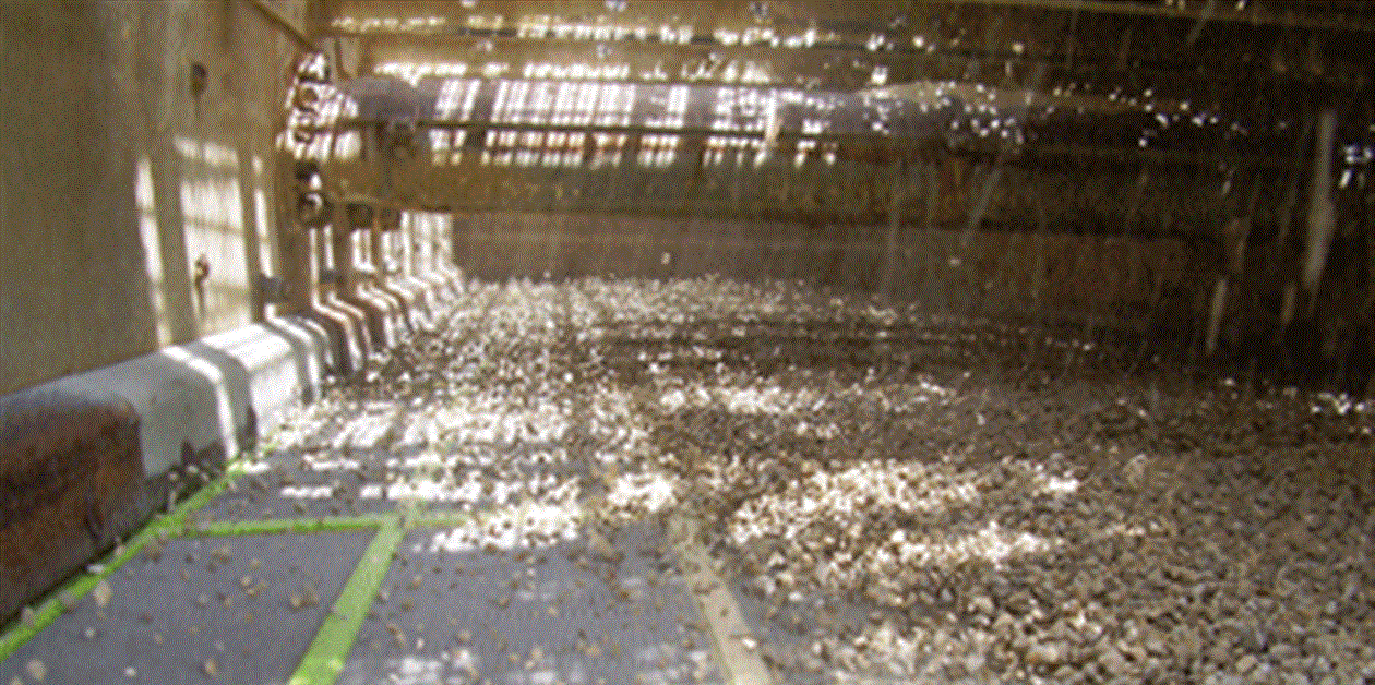 Screen media - Construction Briefing