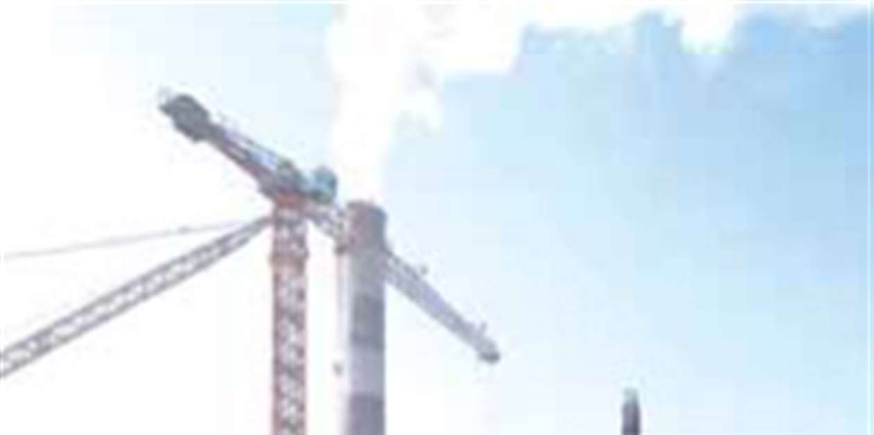 Flexible Friend Construction Briefing