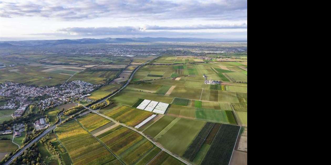 Hochtief appointed to build European lithium plants for EV batteries