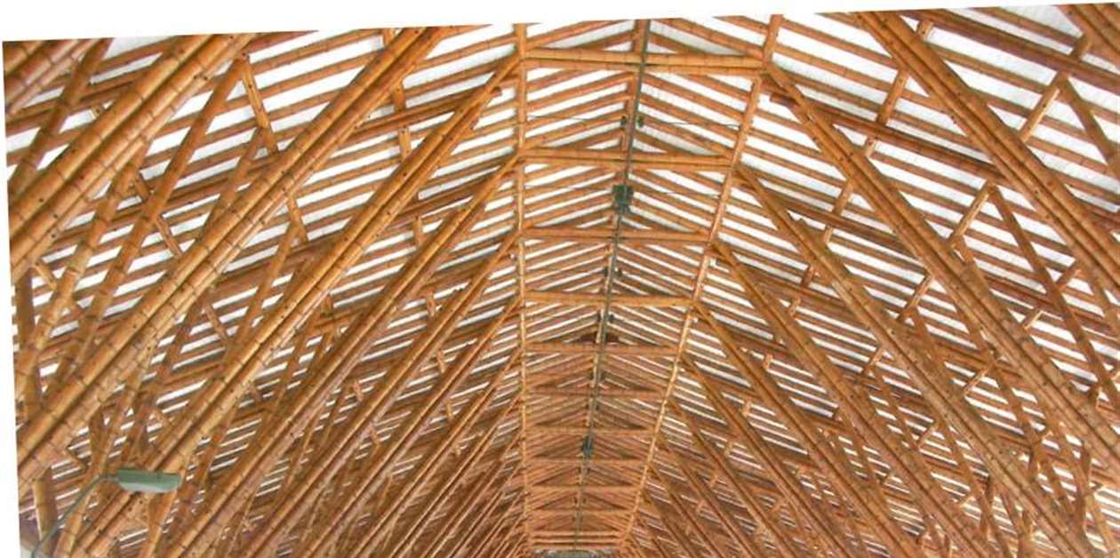 Bamboo construction takes step forward with new engineering guide