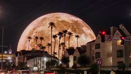 The Sphere at The Venetian Resort with lush green palm trees and cars driving on the street at night in Las Vegas Nevada USA