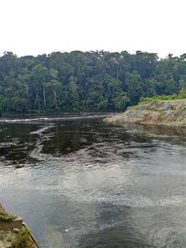The Ntem River in Cameroon (Image: Alidaeboo, CC BY-SA 4.0 via Wikimedia Commons)