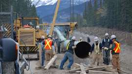 Workers install a section of pipeline on the Trans Mountain expansion project
