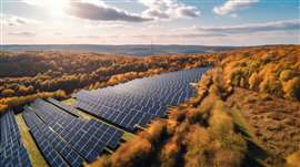 Aerial view of a solar farm sitting among trees