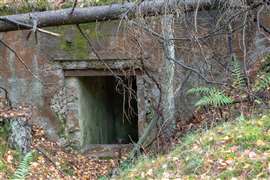Bunker di guerra nell'Europa centrale, in Germania o in Polonia (Immagine: Adobe Stock)