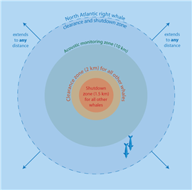 An illustration of Equinor's whale clearance and shutdown zones. Image courtesy Equinor