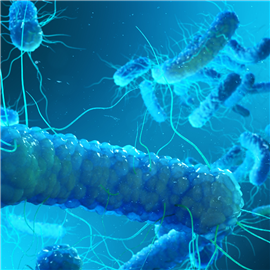 Bactéria Legionella. Imagem cortesia da Hydrosense.