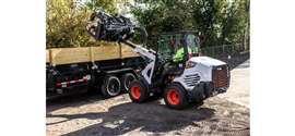 Photo: Bobcat