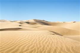 Nanotech firm says it can turn desert sand into building material