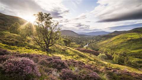 Natural Capital Laboratory project in Scotland, UK