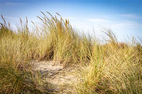 National park Oosterschelde, Delta Works, Netherlands