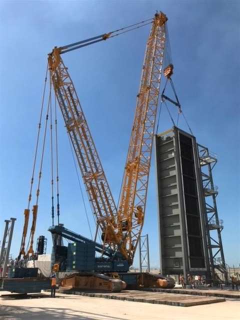 jamaica_2___ok_499x665